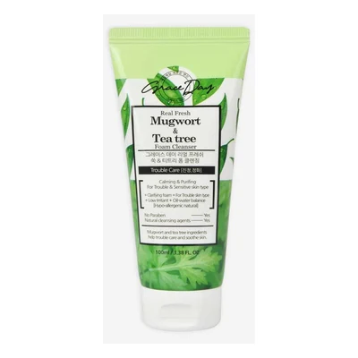 Grace day Real Fresh Mugwort & Tea Tree Foam Cleanser - 100ml
