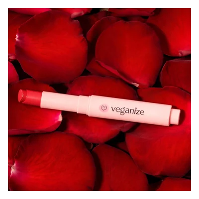 Veganize Collagen Lip Glass Balm (Shade 06 Noble Brick) - 1.8g