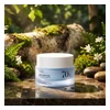 glowxin-anua-birch-70-moisture-boosting-cream-50ml.webp