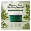 glowxin-axis-y-mugwort-pore-clarifying-wash-off-100ml.webp