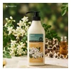 glowxin-dabo-daily-body-wash-moringa-750ml.webp