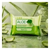 glowxin-farmstay-aloe-moisture-soothing-cleansing-tissue-120ml.webp