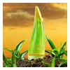 glowxin-holika-holika-aloe-facial-cleansing-foam-150ml.webp