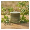 glowxin-i-m-from-mugwort-cream-50gm.webp
