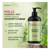glowxin-mielle-rosemary-mint-strengthening-shampoo-355ml.webp