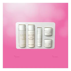 glowxin-nature-republic-ginseng-royal-silk-trial-kit-2.webp