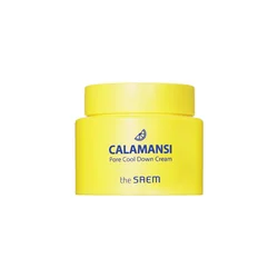 glowxin-the-saem-calamansi-pore-cool-down-cream-100-ml-1.webp