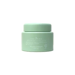 glowxin-the-saem-care-plus-artemisia-steam-cream-100ml-2.webp