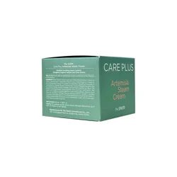 glowxin-the-saem-care-plus-artemisia-steam-cream-100ml-5.webp